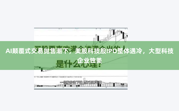 AI颠覆式交易抛售潮下，美股科技股IPO整体遇冷，大型科技企业独美