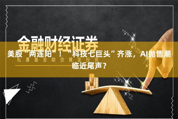 美股“两连阳”！“科技七巨头”齐涨，AI抛售潮临近尾声？